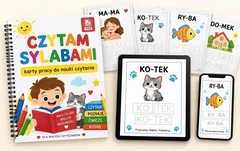 Karty Sowy – 5 gier matematycznych